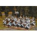 Teutonic Knights Cavalry